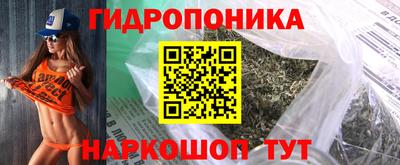 дживик Ачхой-Мартан