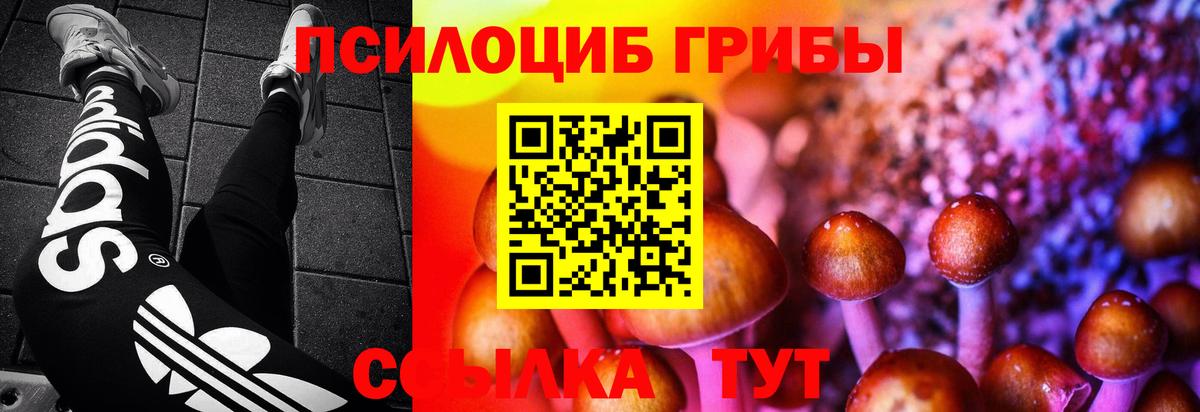 Златоуст  Псилоцибиновые грибы GOLDEN TEACHER  наркота  Вход с VPN 